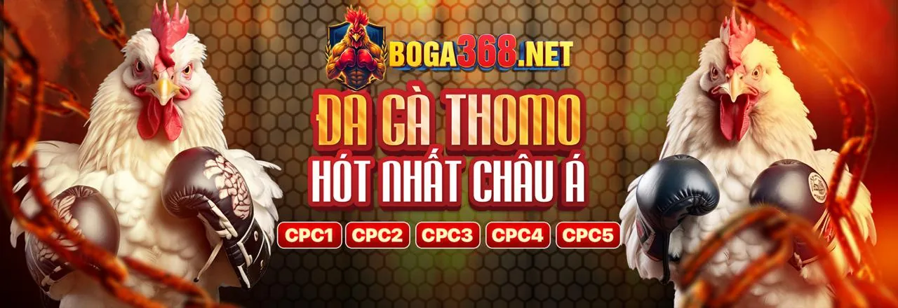 Sbobet Apk – Nền tảng cá cược đa dạng cho người Việt