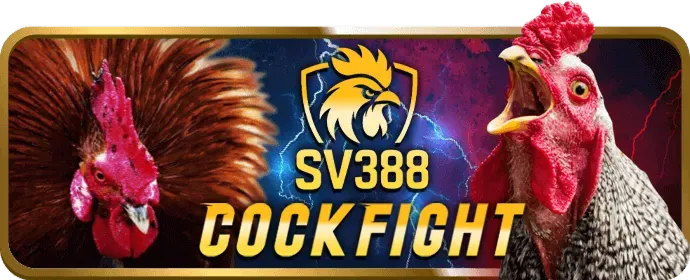 Giao dịch nhanh chóng trên sbobet apk với tỷ lệ thanh toán cao