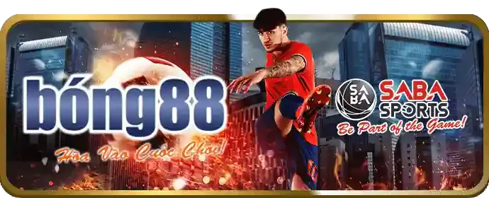 Thiết kế giao diện ứng dụng Sbobet Apk